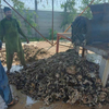 Máquina de corte de pele de peixe de couro de vaca para fazer gelatina