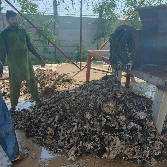 Máquina de corte de pele de peixe de couro de vaca para fazer gelatina